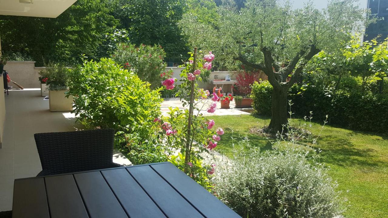 Villa Ema Rovigno Esterno foto