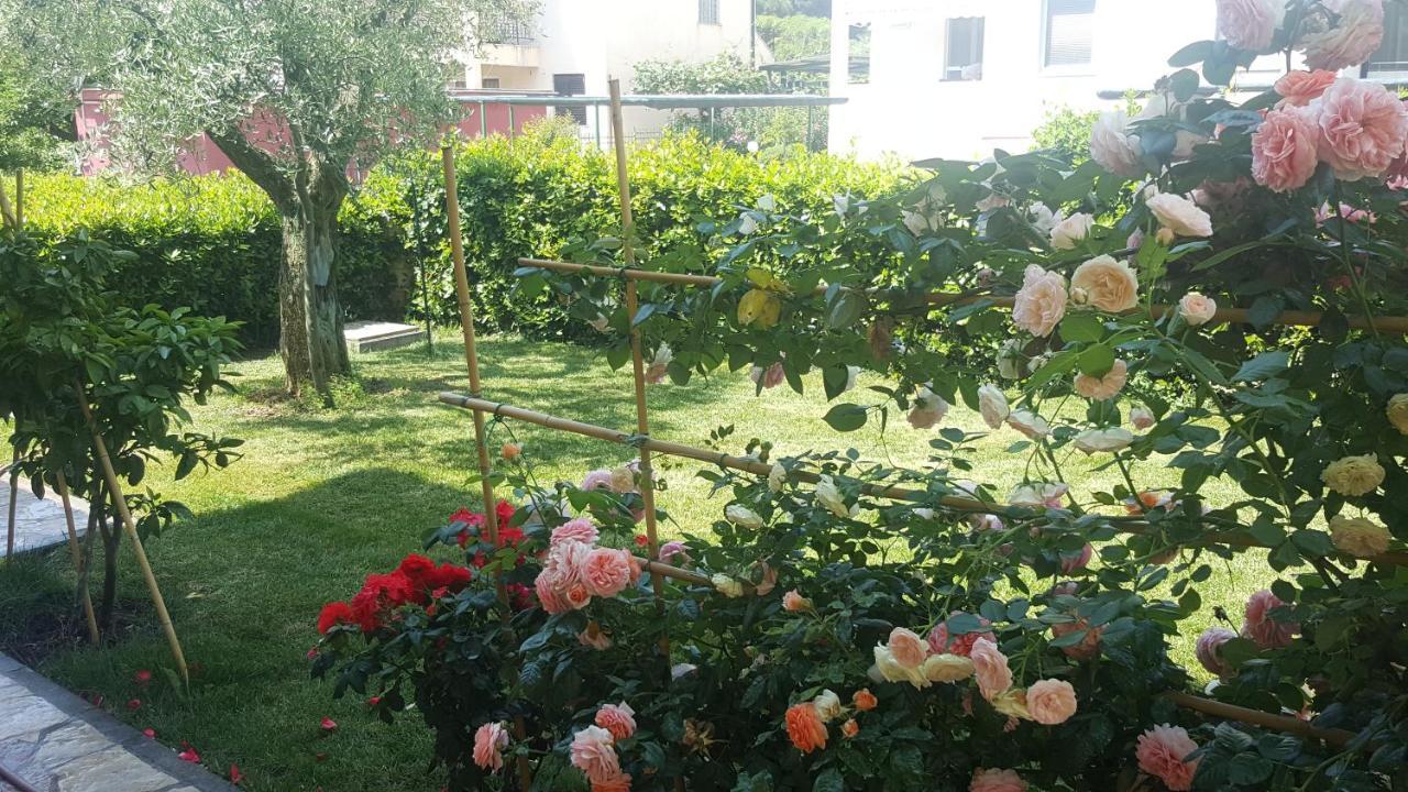Villa Ema Rovigno Esterno foto